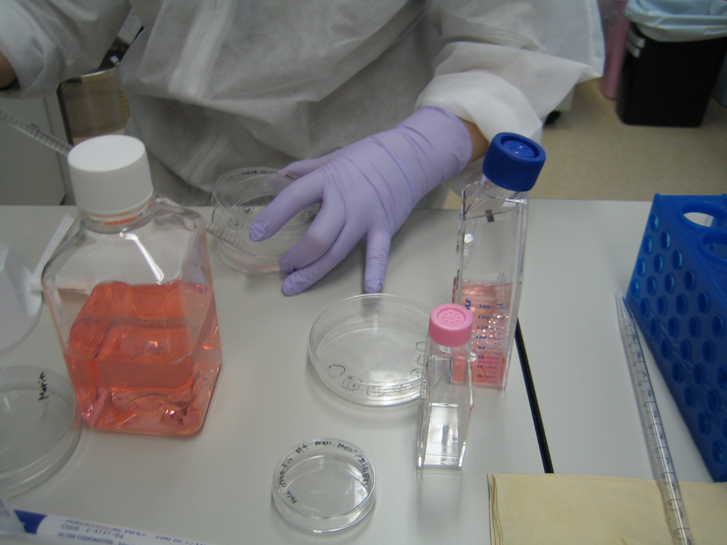 試薬開発に関する実験業務