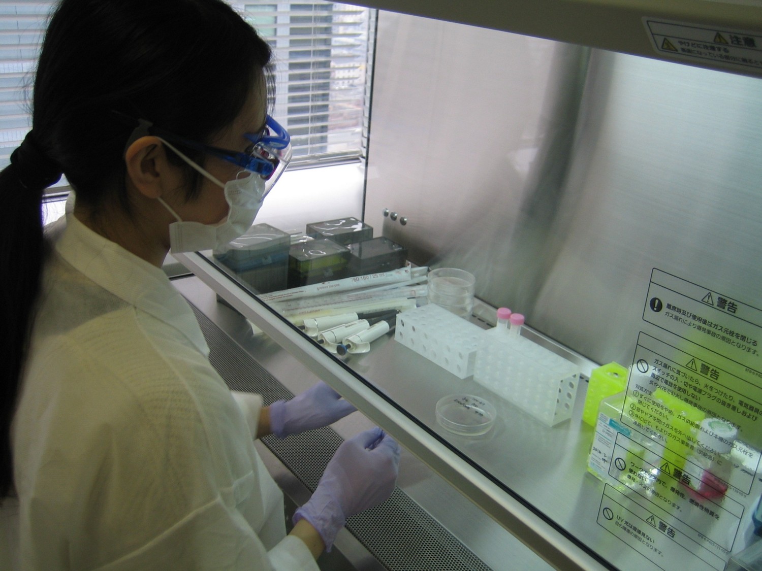 鹿児島勤務　薬理試験細胞に関する実験業務