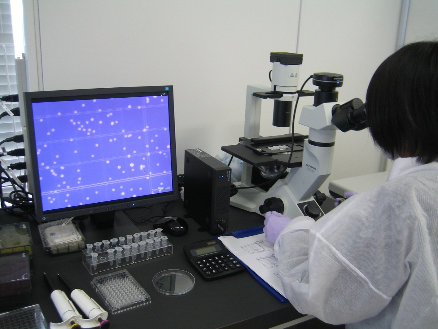 診断薬メーカーにて細胞分析用試薬の研究開発業務