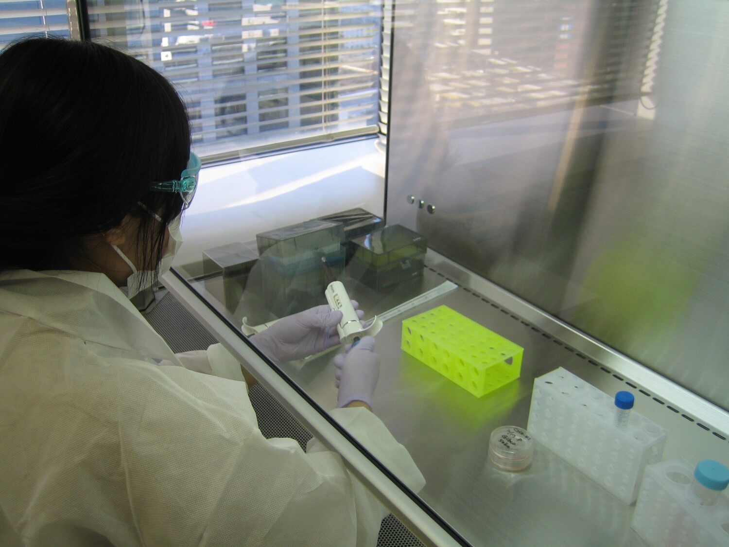 ウイルス試験に特化した試験センターでの細胞培養のお仕事