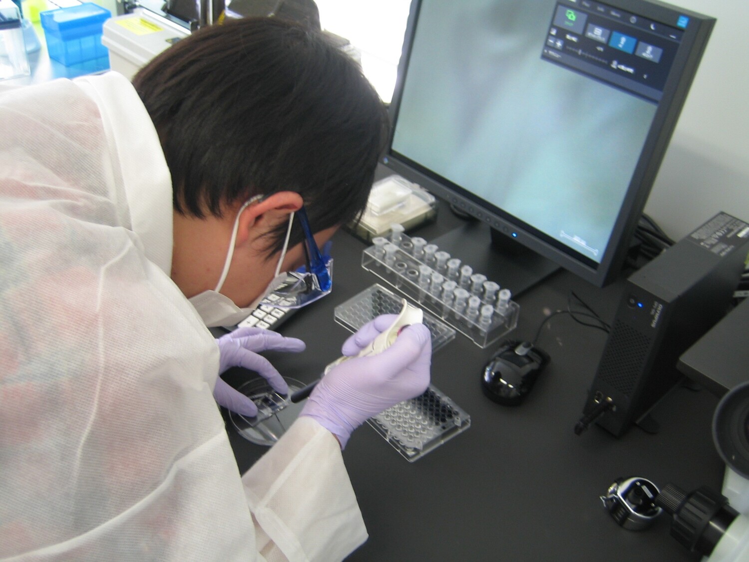 週4勤務の動物実験および細胞培養