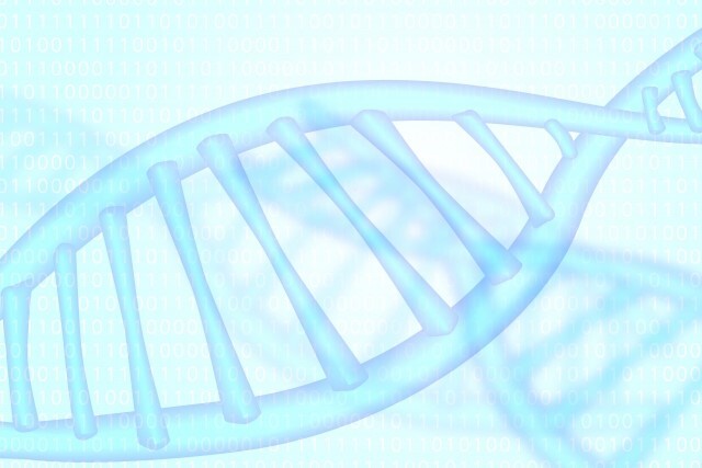 PCR操作経験が活かせる遺伝子解析