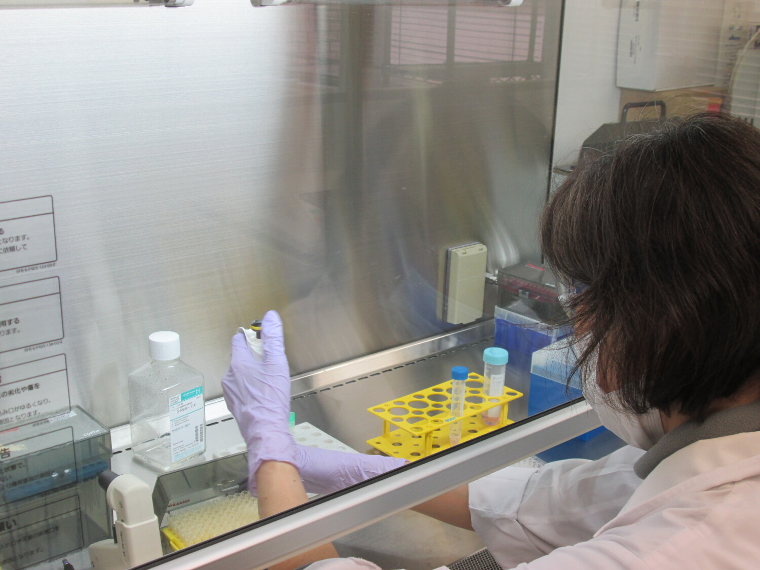 細胞培養と遺伝子組み換え実験の補助業務