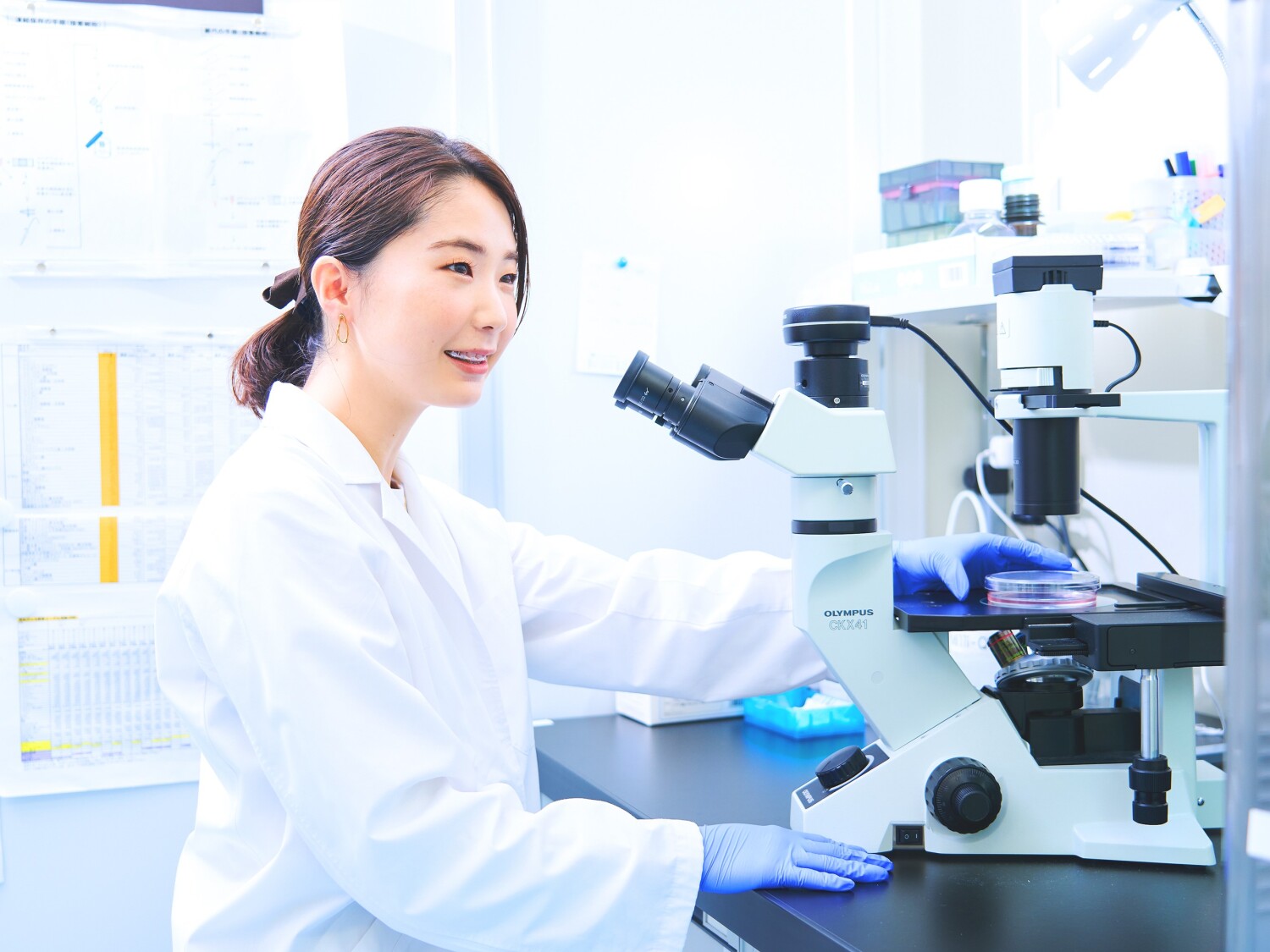 【所沢市】大学内での動物実験・細胞培養業務