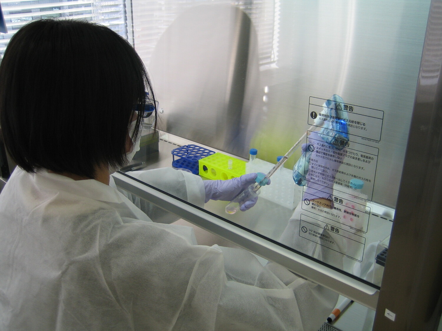 【京都市】国立大学内で動物実験と分子生物学実験補助