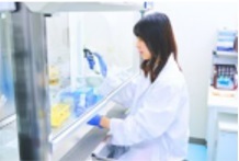 国立大学内の研究室での細胞培養