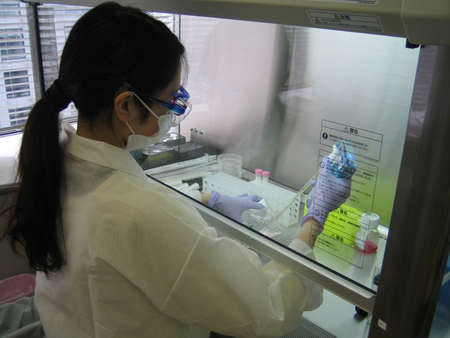 バイオベンチャー企業での細胞培養