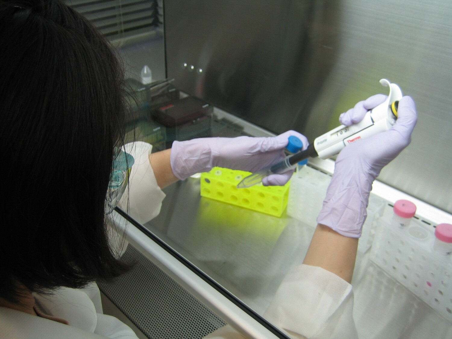 大学研究所内で細胞培養、遺伝子実験